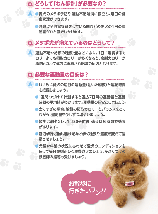 愛犬の健康管理の為のQ＆A