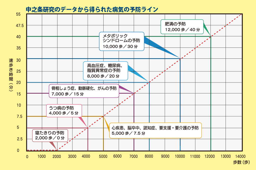 中之条研究のデータから得られた病気の予防ライン